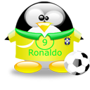 Penguin pingouin pinguino 185